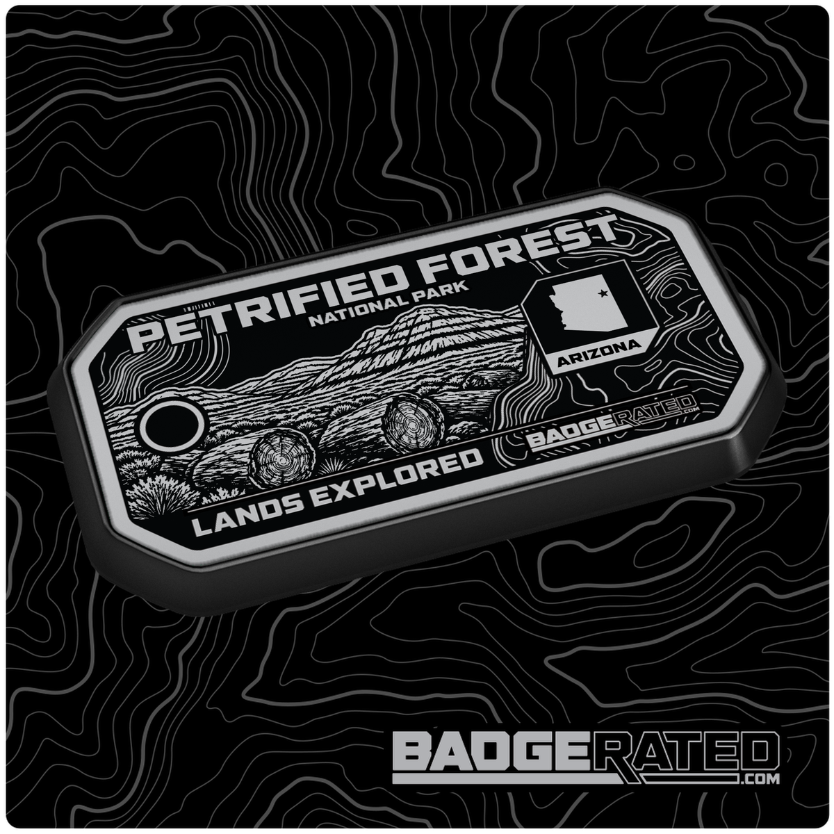 Petrified Forest National Park Lands Badge (Arizona)